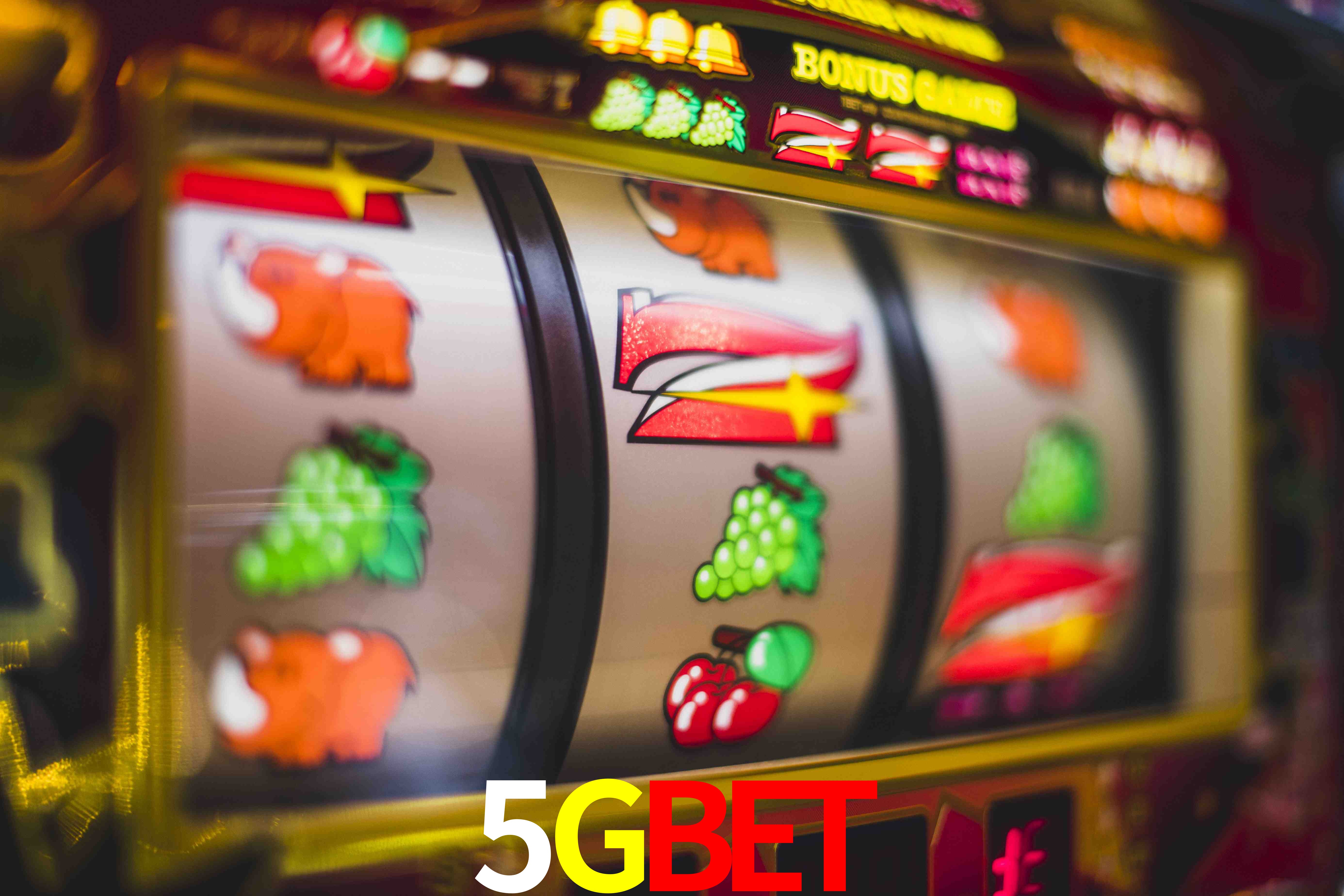 Experiência VIP 5GBET